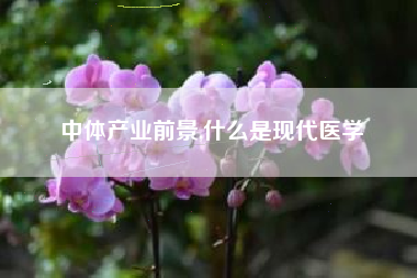 中体产业前景,什么是现代医学