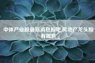 中体产业股最新消息股吧,房地产龙头股有哪些