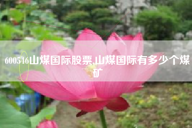 600546山煤国际股票,山煤国际有多少个煤矿