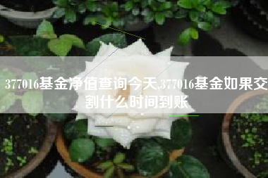 377016基金净值查询今天,377016基金如果交割什么时间到账