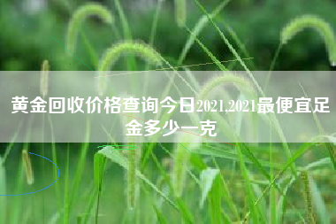 黄金回收价格查询今日2021,2021最便宜足金多少一克