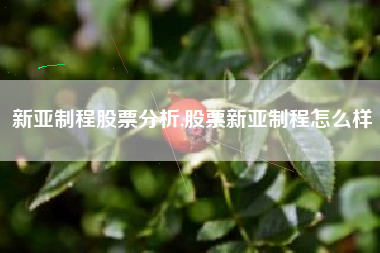 新亚制程股票分析,股票新亚制程怎么样