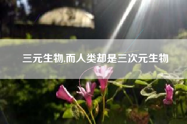 三元生物,而人类却是三次元生物