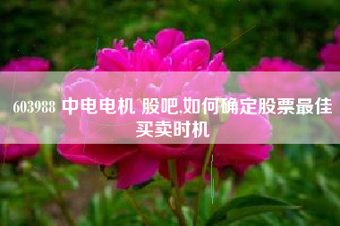 603988 中电电机 股吧,如何确定股票最佳买卖时机