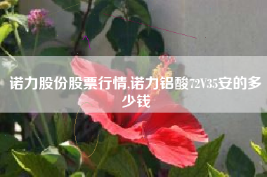 诺力股份股票行情,诺力铝酸72V35安的多少钱