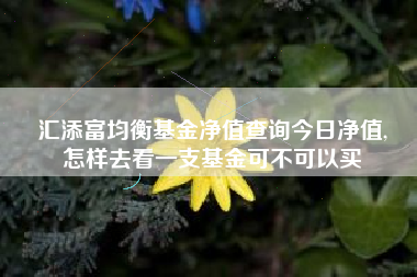 汇添富均衡基金净值查询今日净值,
怎样去看一支基金可不可以买