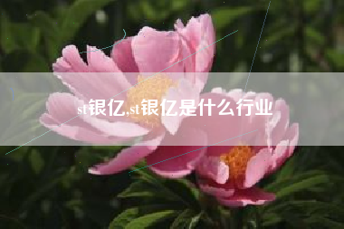 st银亿,st银亿是什么行业