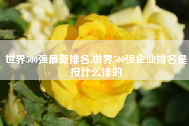 世界500强最新排名,世界500强企业排名是按什么排的