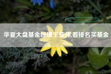 华夏大盘基金经理王亚伟,看排名买基金