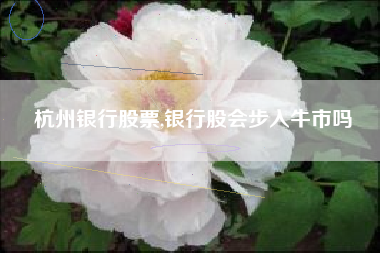 杭州银行股票,银行股会步入牛市吗