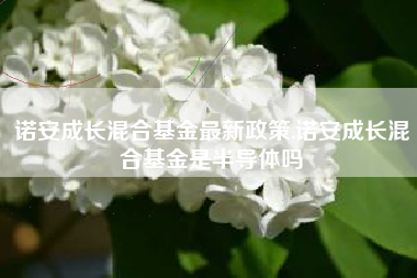 诺安成长混合基金最新政策,诺安成长混合基金是半导体吗