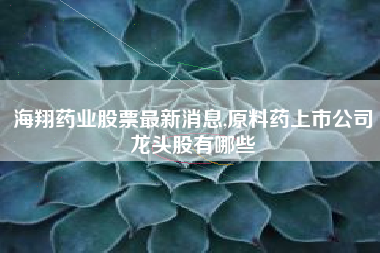 海翔药业股票最新消息,原料药上市公司龙头股有哪些