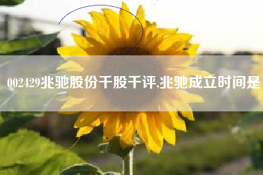 002429兆驰股份千股千评,兆驰成立时间是