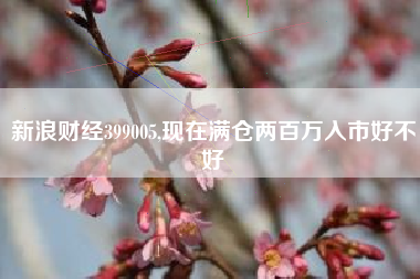 新浪财经399005,现在满仓两百万入市好不好
