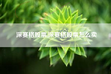 深赛格股票,深赛格股票怎么卖