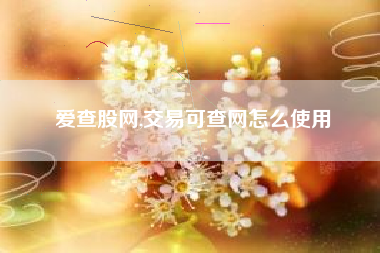 爱查股网,交易可查网怎么使用