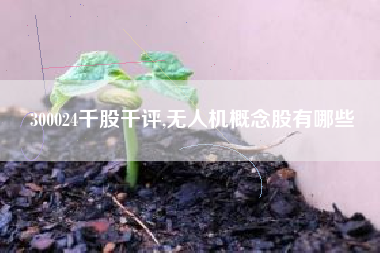 300024千股千评,无人机概念股有哪些