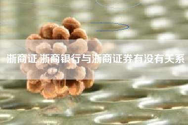 浙商证,浙商银行与浙商证券有没有关系
