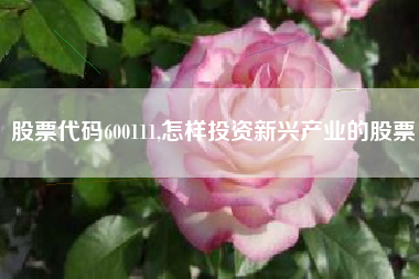 股票代码600111,怎样投资新兴产业的股票