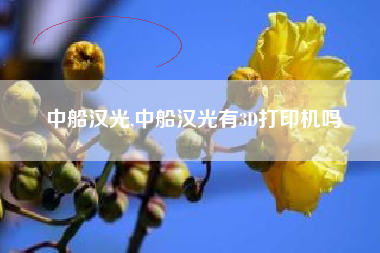 中船汉光,中船汉光有3D打印机吗