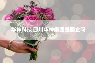 华神科技,四川华神集团是国企吗