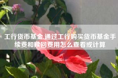 工行货币基金,通过工行购买货币基金手续费和赎回费用怎么查看或计算