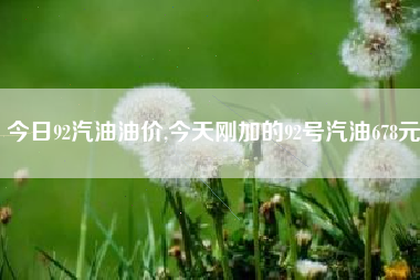 今日92汽油油价,今天刚加的92号汽油678元