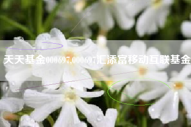 天天基金000697,000697汇添富移动互联基金