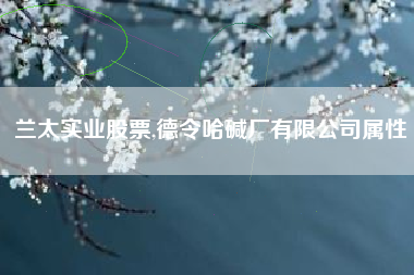 兰太实业股票,德令哈碱厂有限公司属性