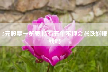 5元股票一览表,持有五年不理会涨跌能赚钱吗