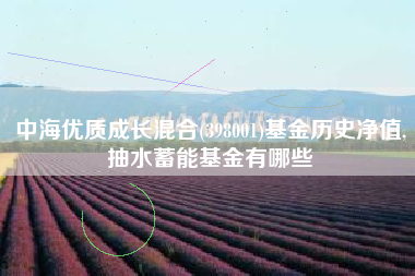 中海优质成长混合(398001)基金历史净值,抽水蓄能基金有哪些