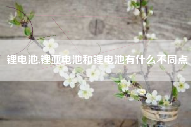 锂电池,锂亚电池和锂电池有什么不同点