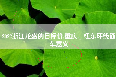 2022浙江龙盛的目标价,重庆杻纽东环线通车意义