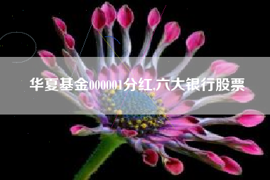 华夏基金000001分红,六大银行股票