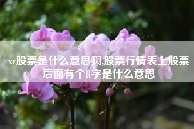 xr股票是什么意思啊,股票行情表上股票后面有个R字是什么意思