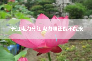 长江电力分红,电力股还能不能投