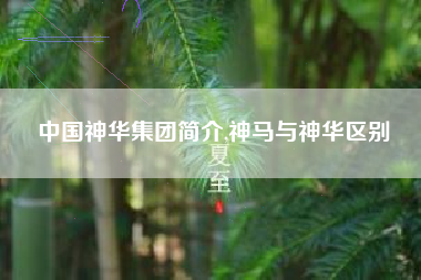 中国神华集团简介,神马与神华区别