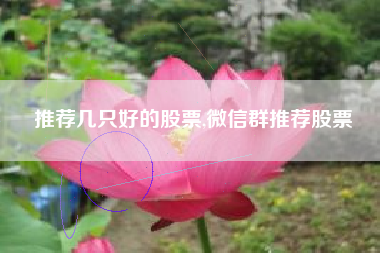 推荐几只好的股票,微信群推荐股票
