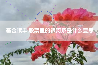 基金银丰,股票里的银河系是什么意思