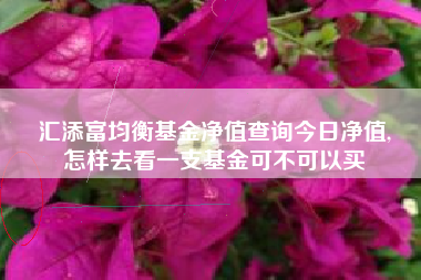 汇添富均衡基金净值查询今日净值,
怎样去看一支基金可不可以买