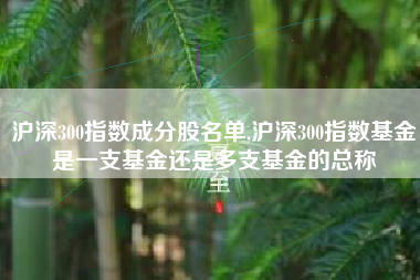 沪深300指数成分股名单,沪深300指数基金是一支基金还是多支基金的总称