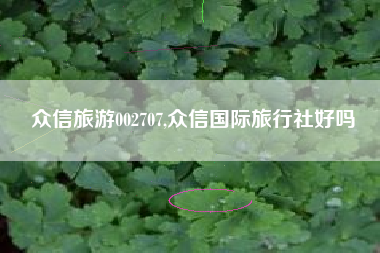 众信旅游002707,众信国际旅行社好吗