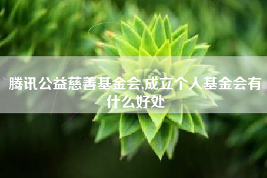 腾讯公益慈善基金会,成立个人基金会有什么好处