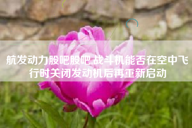 航发动力股吧股吧,战斗机能否在空中飞行时关闭发动机后再重新启动