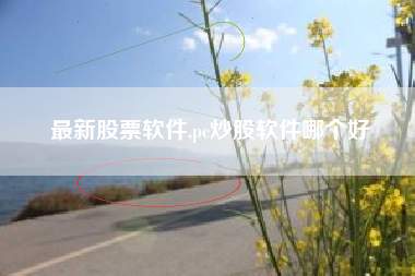 最新股票软件,pc炒股软件哪个好