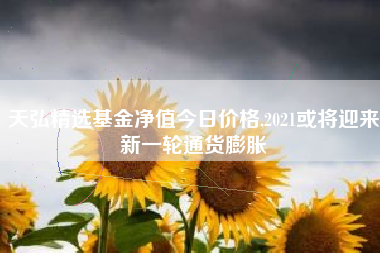 天弘精选基金净值今日价格,2021或将迎来新一轮通货膨胀