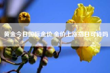 黄金今日国际金价,金价上涨指日可待吗
