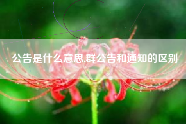 公告是什么意思,群公告和通知的区别