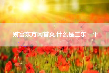 财富东方网首页,什么是三东一平