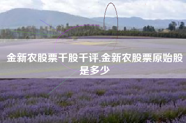 金新农股票千股千评,金新农股票原始股是多少
